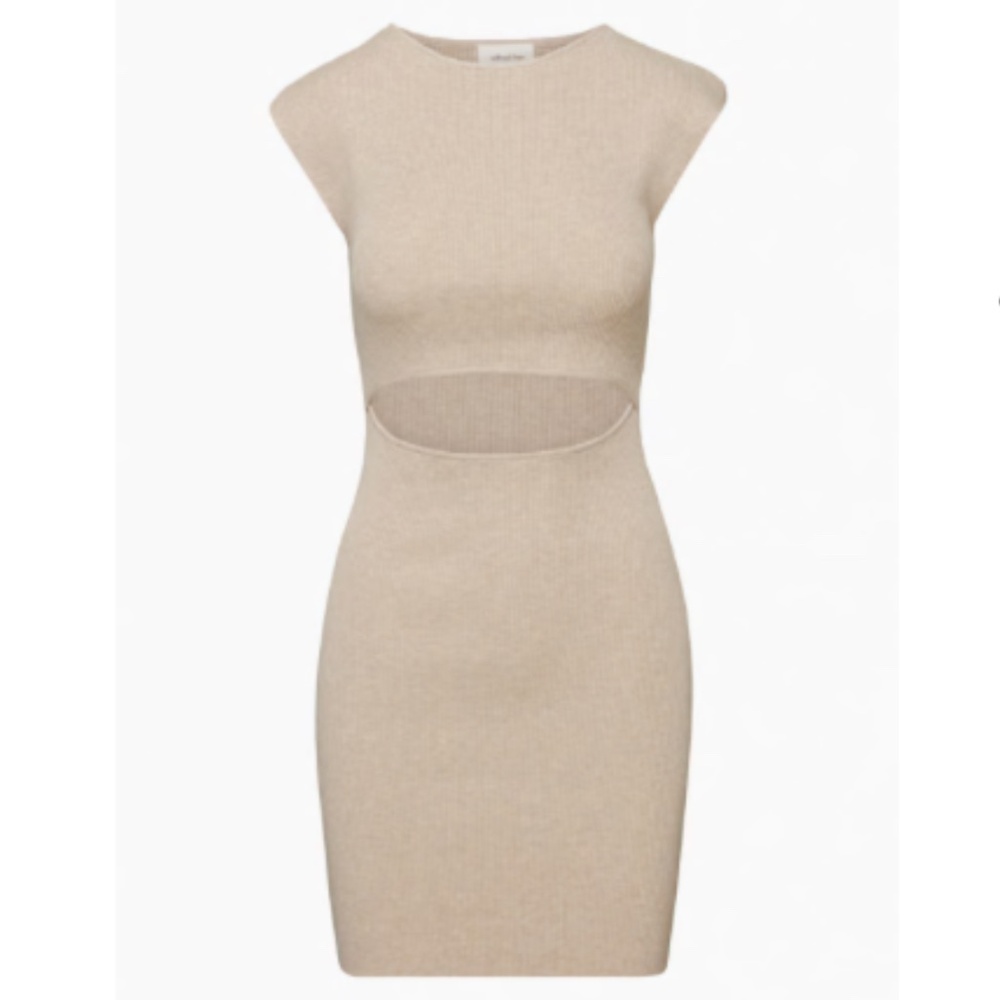 Aritzia Wilford Free Cut-Out Knit Mini Dress